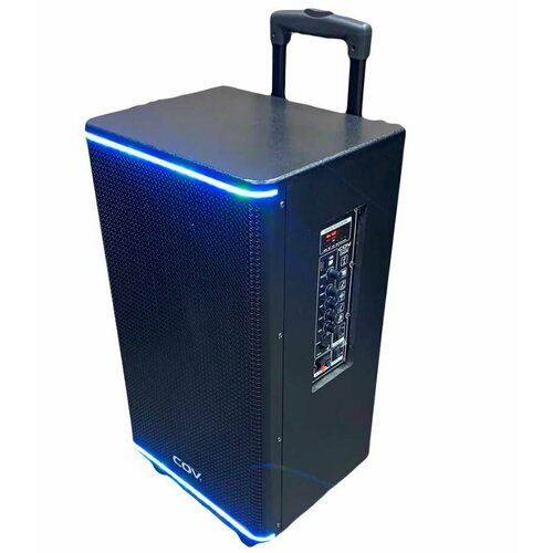 Колонка акустическая профессиональная Караоке CV270 P M P O 560Вт2 микрофонаПультBluetoothUSBFMTF cardАудио вход выход 1290000₽