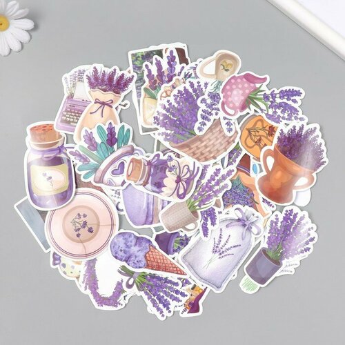 Наклейки для творчества Лаванда набор 50 шт 4х8 см 507₽