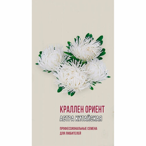 Китайская астра семена Агрони краллен ориент китайская астра семена агрони йеллоу тауэр