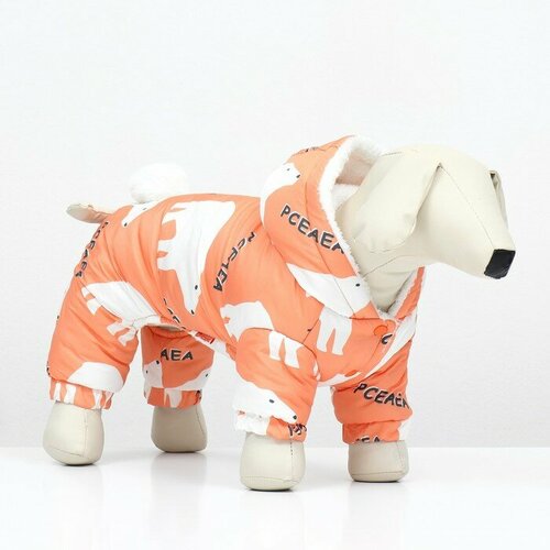 Комбинезон Стиляга размер хS ДС 21 см ОШ 25 см ОГ 35 см белыйоранежевый 1260₽