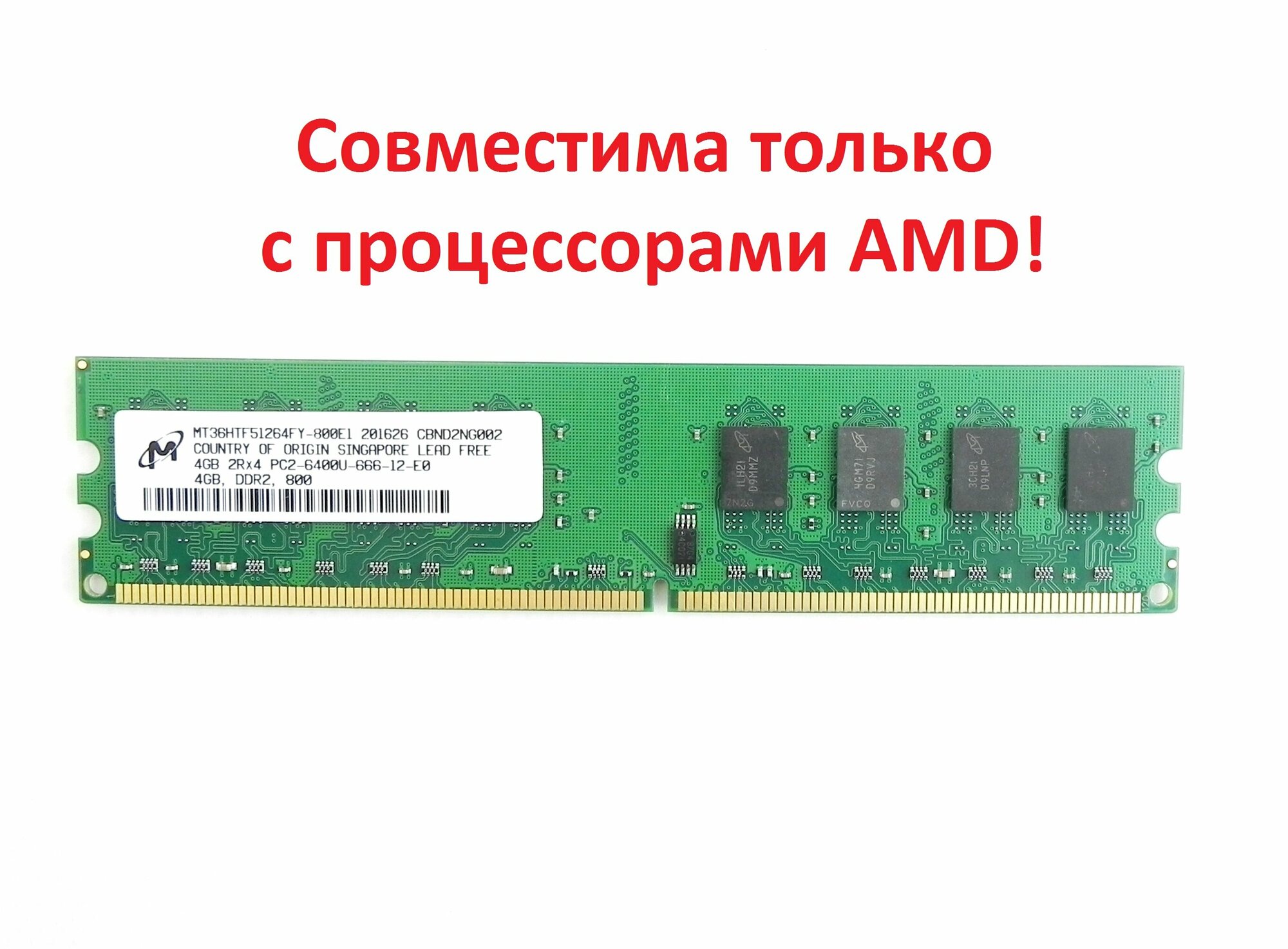 Модуль памяти Micron DDR2 4GB 2Rx4 PC2-6400U-666-12-E0 (для AMD)