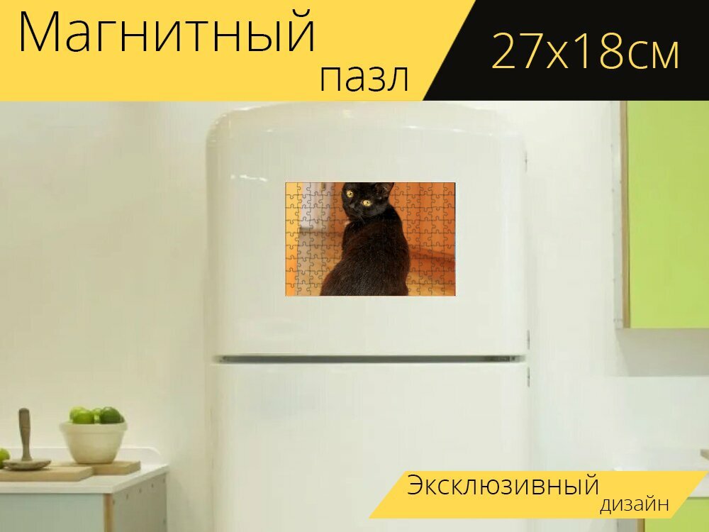 Магнитный пазл "Кошка, черная кошка, желтоглазая кошка" на холодильник 27 x 18 см.