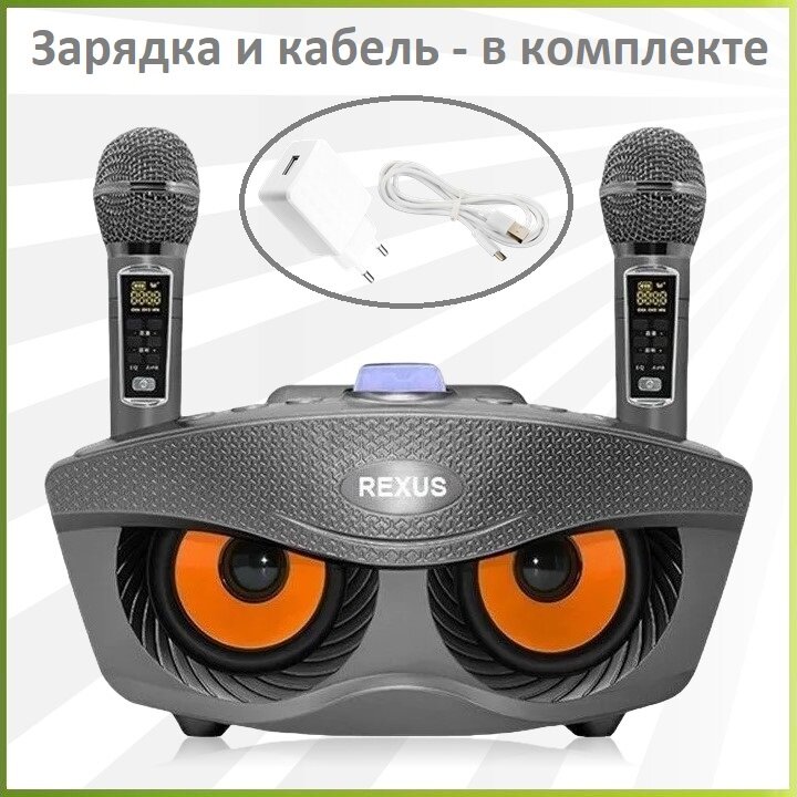 REXUS SD-306 Plus (Gray) - домашняя караоке система, изменение голоса, Bluetooth