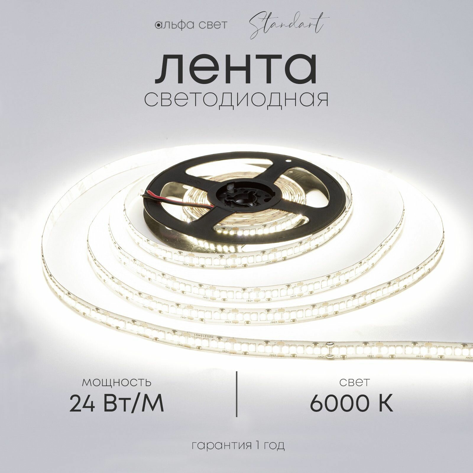 Светодиодная лента 24Вт, 24В, 6000К (холодный свет), 2800 лм/м, IP20, 5 метров, Альфа Свет
