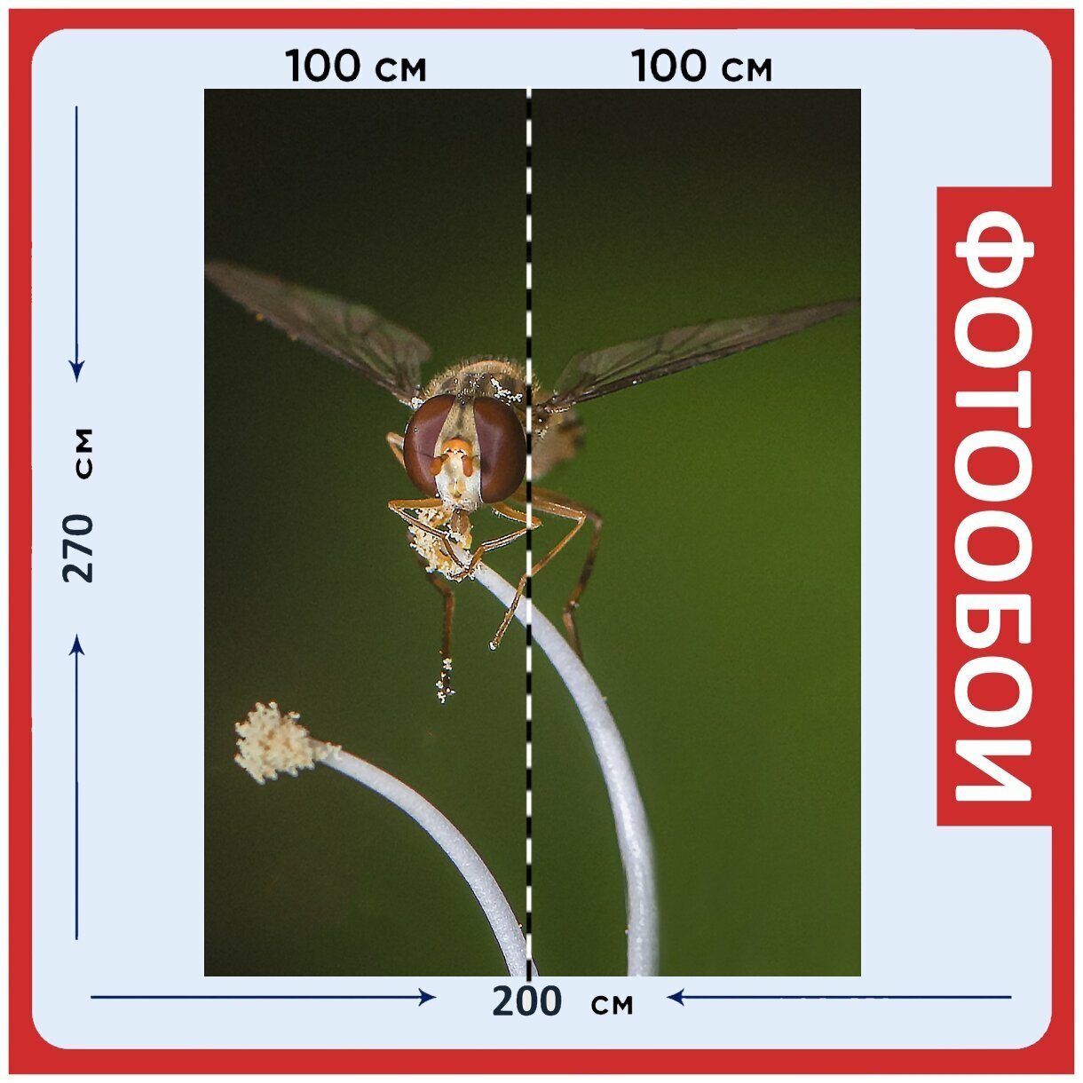 Фотообои "Летать, насекомые, макрос" 200x270 см. флизелиновыена стену