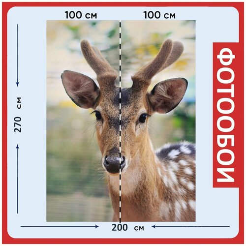 Фотообои Красный олень дикий лес 200x270 см флизелиновыена стену 2970₽