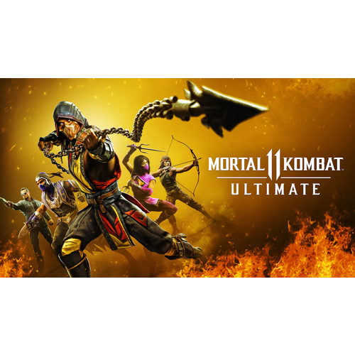 Mortal Kombat 11 Standard Edition для PS4 и PS5 цифровая версия регион Турция 800₽