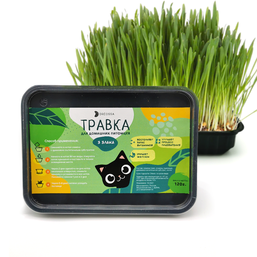 Травка для кошек в лотке DREOSSA 120 гр. 3 злака