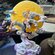ONE PIECE Фигурка Луффи 16 см Bandai, 16cm luffy, Унисекс