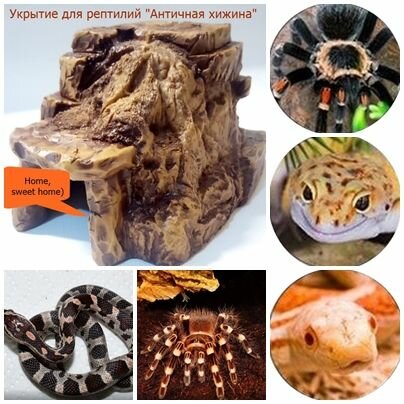 Укрытие для рептилий 