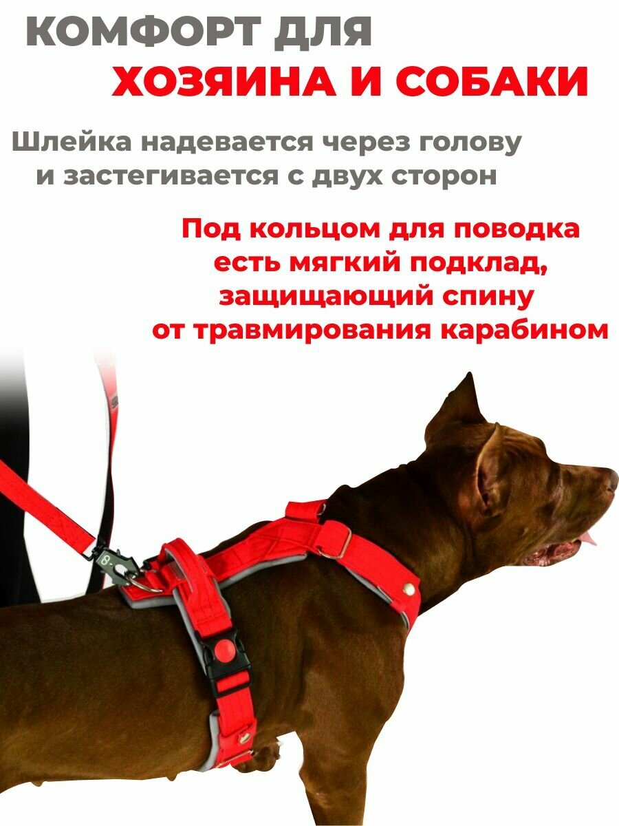 Шлейка с ручкой и мягким подкладом для собак прогулочная анатомическая, CORADOG M 2.0.2. , размер R6, цвет красный, серый — фото 1