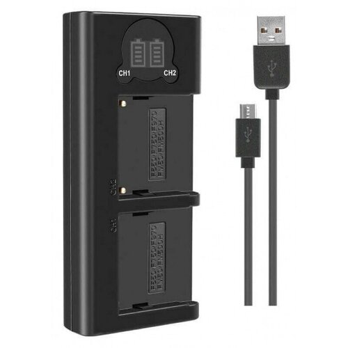 Двойное зарядное устройство DL-NP-F970 для аккумулятора Sony F970 micro- USB и Type-C с информационным индикатором