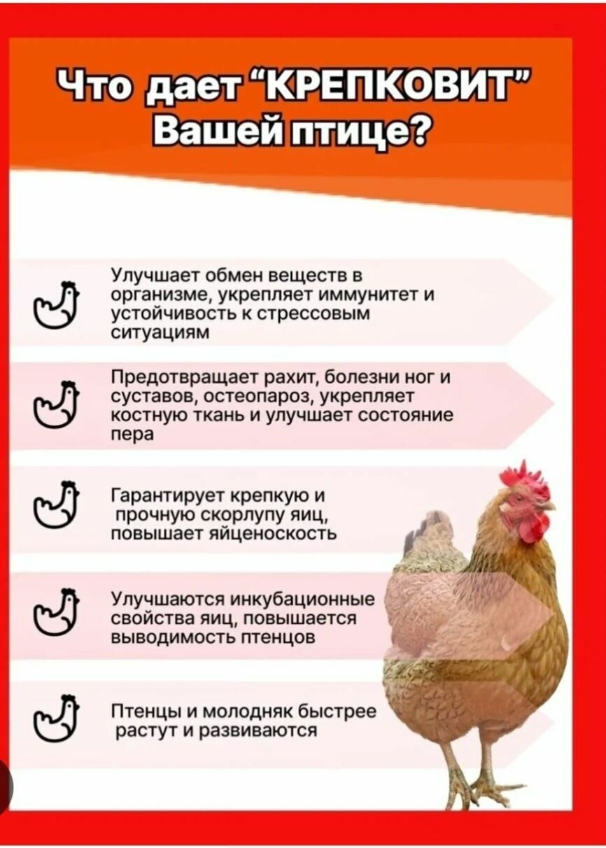 Крепковит для кур, уток, домашней птицы, 5штук по 900г - фотография № 2