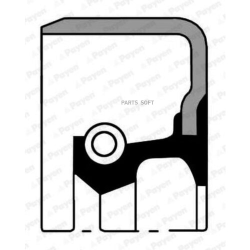 PAYEN NJ996 (9031154003) сальник ступицы [54x66x7,5 / 10]
