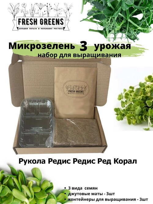 Микрозелень для выращивания Набор Fresh Greens (Рукола Редис Редис Ред Корал)