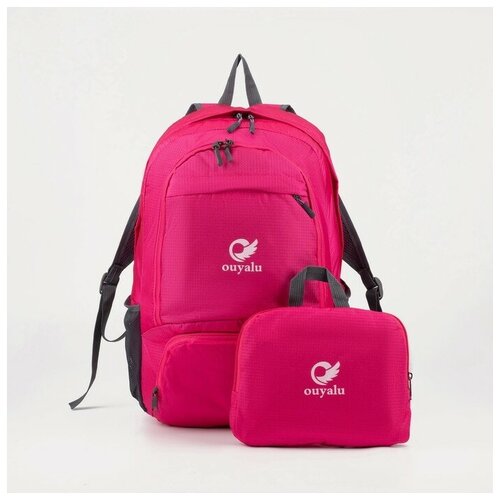 фото Рюкзак складной на молнии, цвет розовый recom