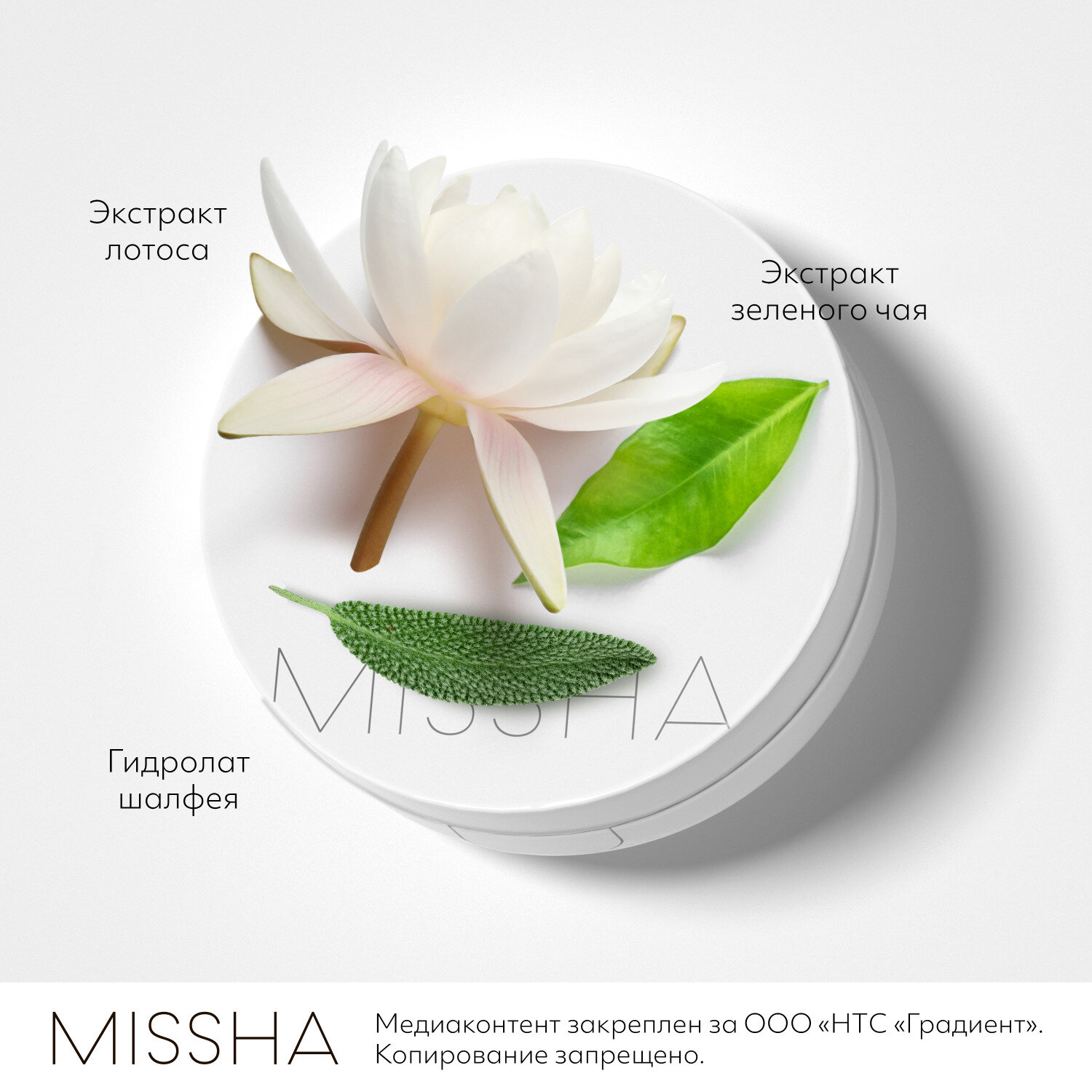 Missha Тональный крем-кушон SPF50+/PA+++ № 21, 15 г (Missha, ) - фото №7