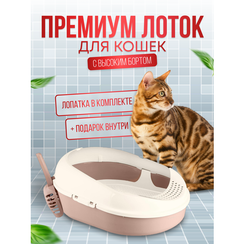 Лоток туалет для кошек с высоким бортом и совком, цвет беж