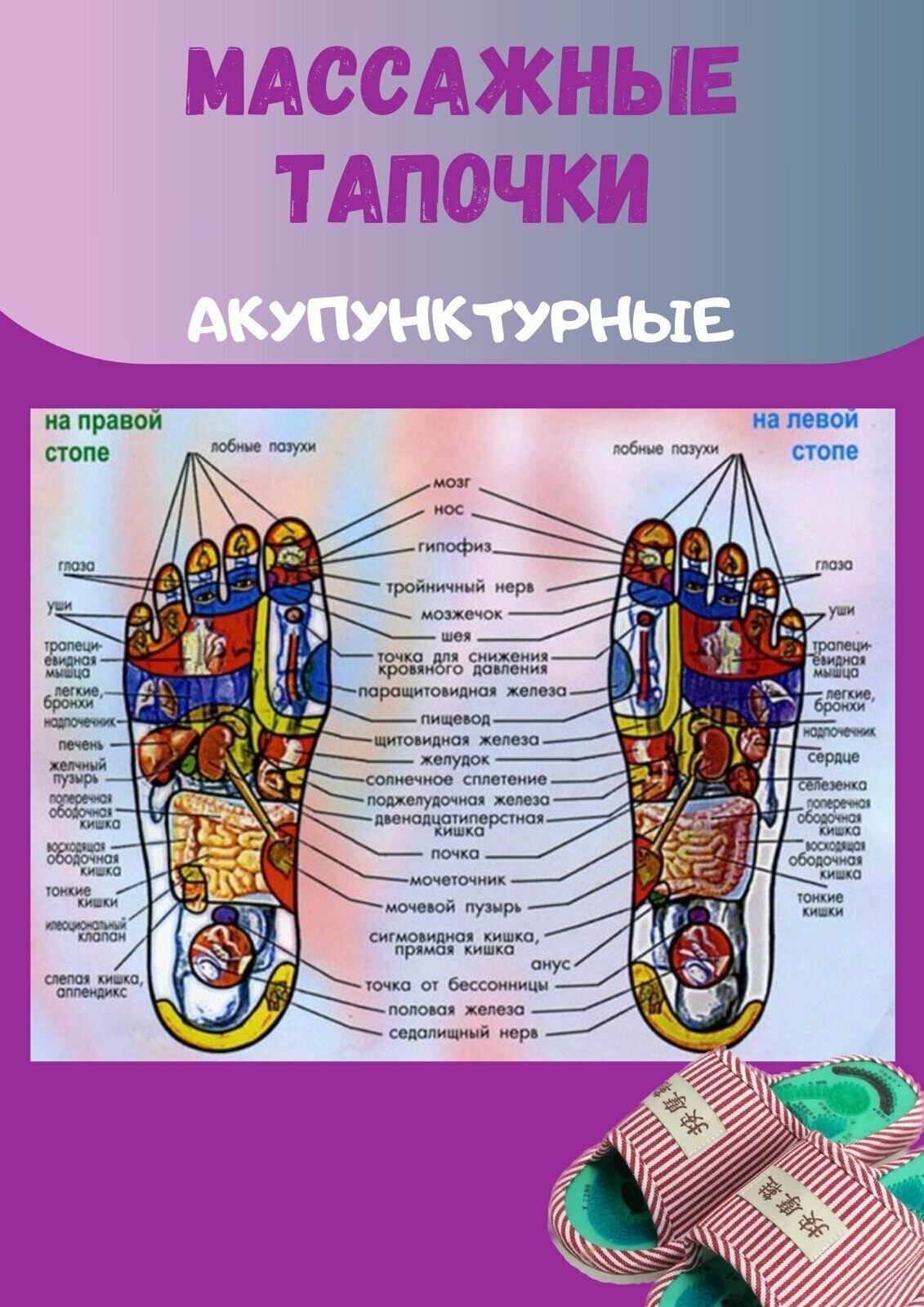 Массажные тапочки для рефлексотерапии размер: 36-38 - фотография № 5