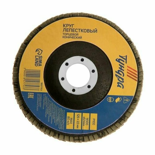 Круг лепестковый торцевой конический 125 х 22 мм Р100 650₽