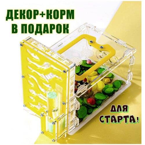 Муравьиная ферма 