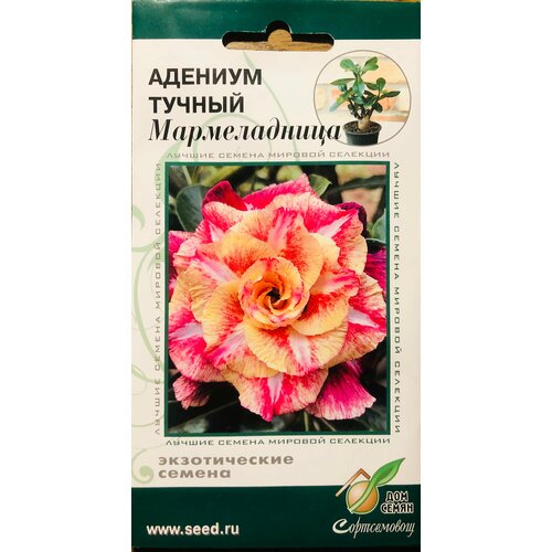 Семена Адениума тучного Мармеладница (3 сем.) семена адениума розовая мечта 3 сем