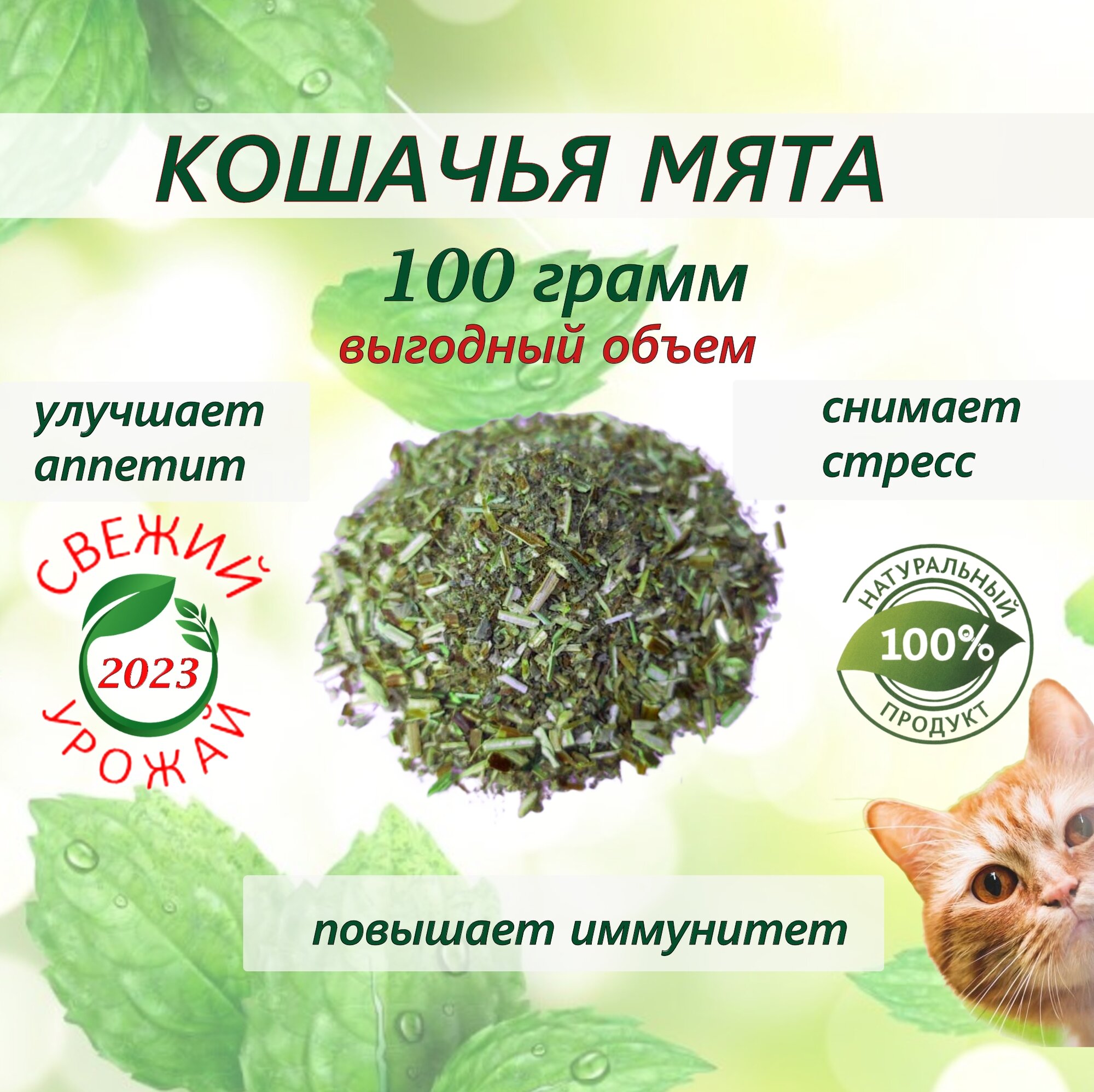 Кошачья мята лакомство для кошек 100 грамм. Котовник сушенный. Для приучения к месту, коррекции поведения, успокоительное.