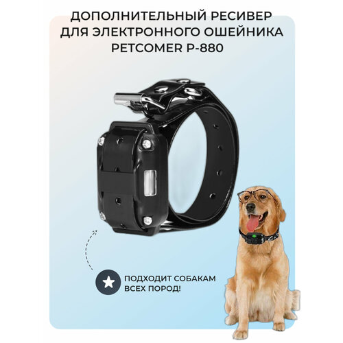 Дополнительный ресивер электронного ошейника для дрессировки собак Petcomer P-880