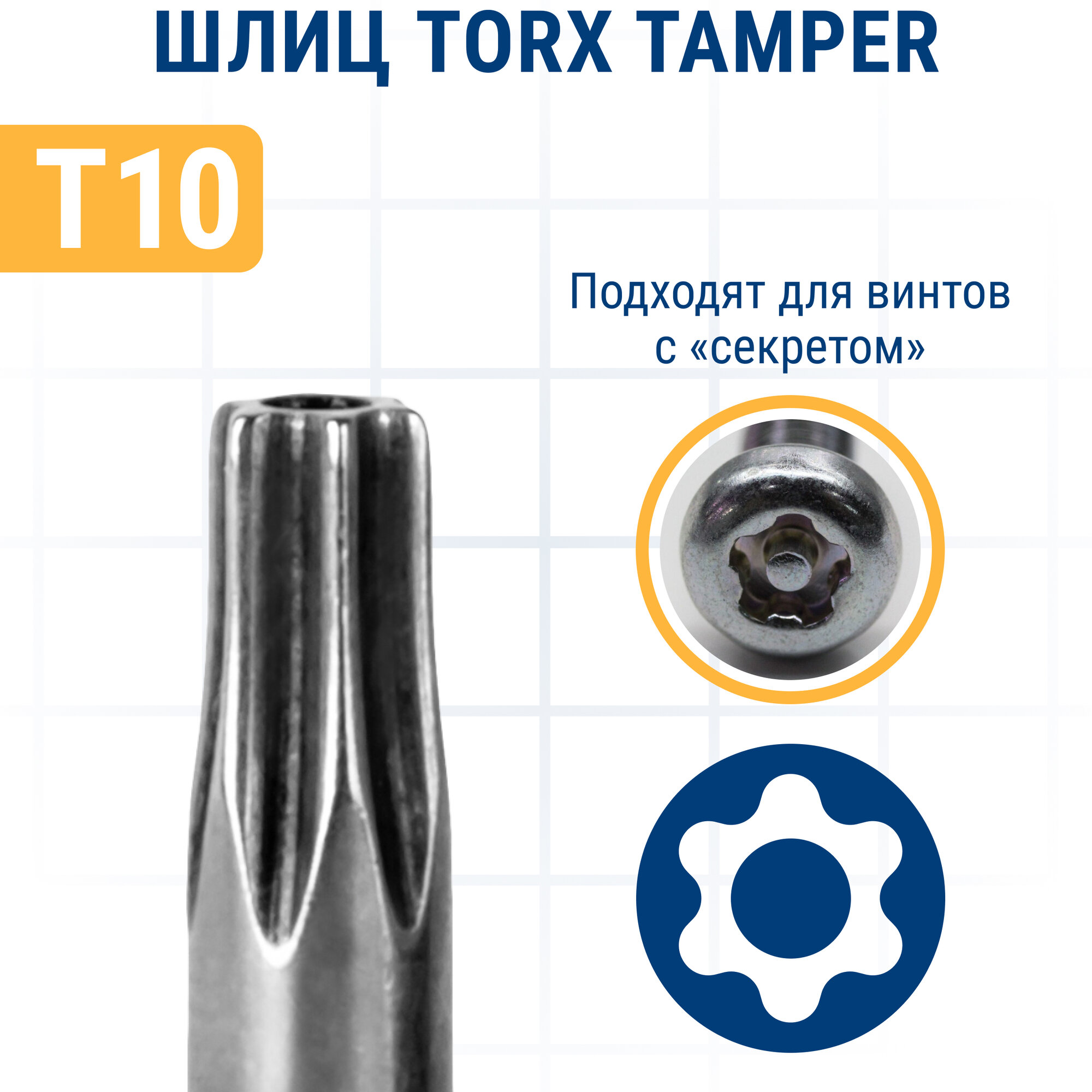 Изображение Бита отверточная ПРАКТИКА Профи Torx Tamper-10 х 25мм (2шт), блистер (776-386)