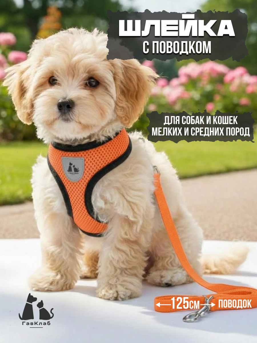 Шлейка для собак