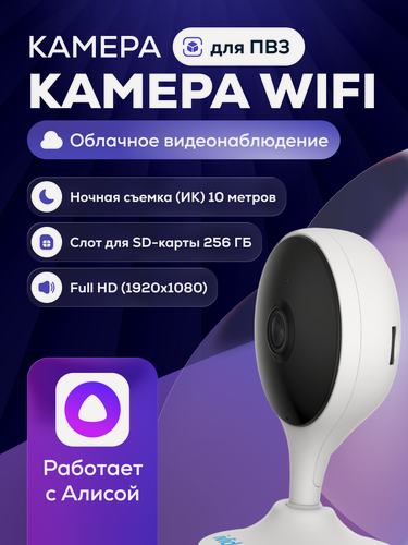Изображение товара WI-Fi камера видеонаблюдения Ivideon Cute 2 для ПВЗ, съемка Full HD, встроенный микрофон, запись экрана