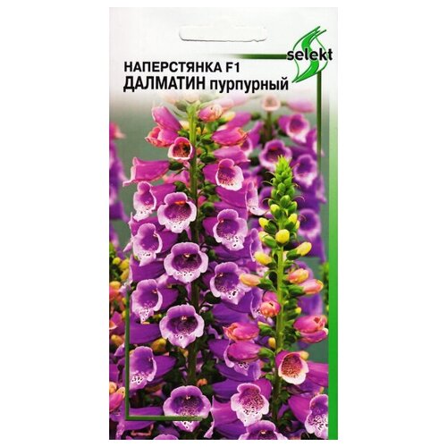 Наперстянка F1 Далматин, пурпурный, 7 семян наперстянка далматин пурпл