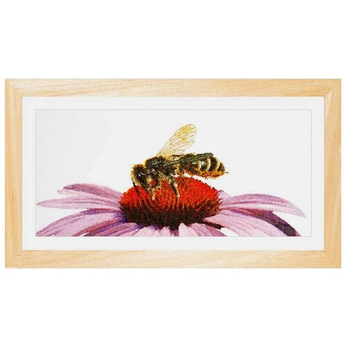 фото Набор для вышивания пчела на эхинацее, канва аида 18 ct 45 х 21 см thea gouverneur 549a