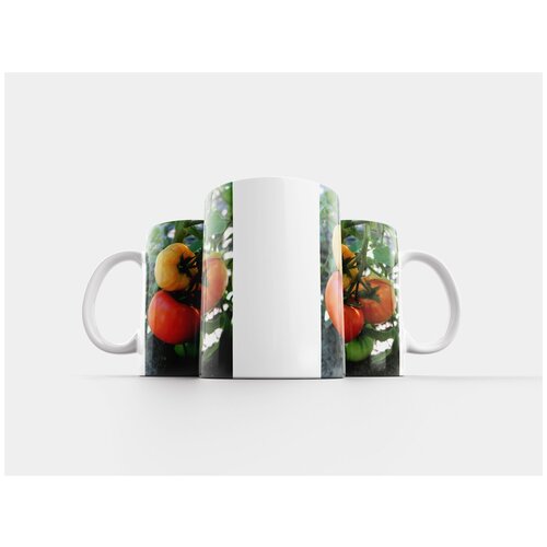 фото Кружка "помидоры, растения, овощи" 320 мл lotsprints