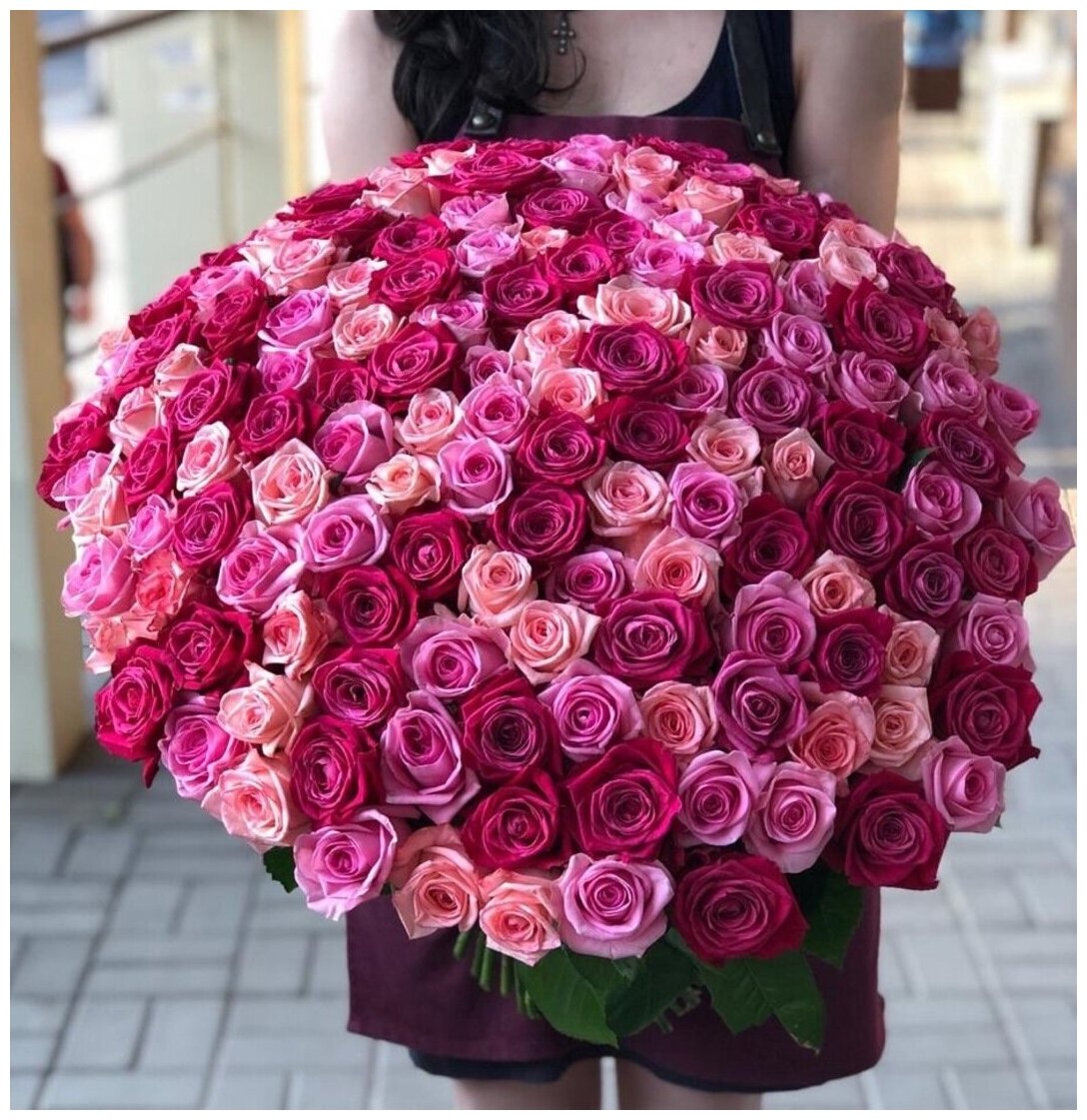 101 Малиновая и Розовая Роза (60 см.)