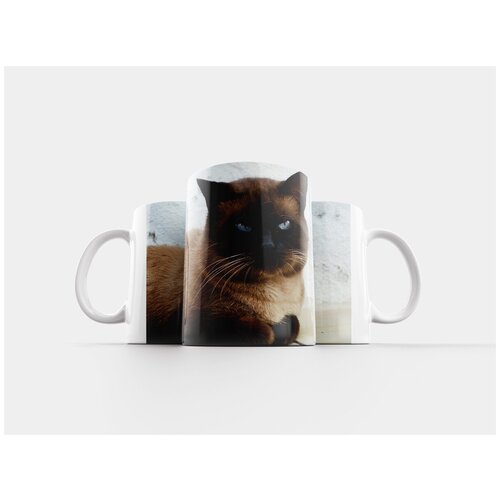 фото Кружка "кошка, pet, сиамский" 320 мл lotsprints