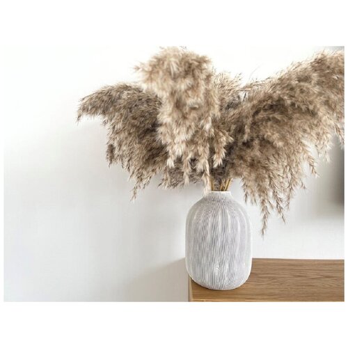 Сухоцветы для декора и флористики, камыш натуральный 10 шт