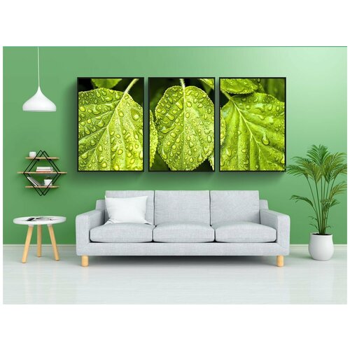 фото Набор модулных постеров для интерьера "лист, зеленый, природа" 60x90 см. в тубусе, без рамки lotsprints