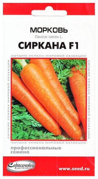 Морковь Сиркана F1 190 семян