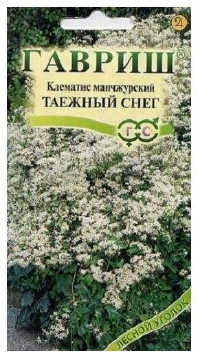 Клематис маньчжурский Таежный снег 0,05г