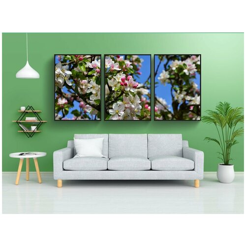 фото Набор модулных постеров для интерьера "цветение яблони, яблоня, цветущее дерево" 60x90 см. в тубусе, без рамки lotsprints
