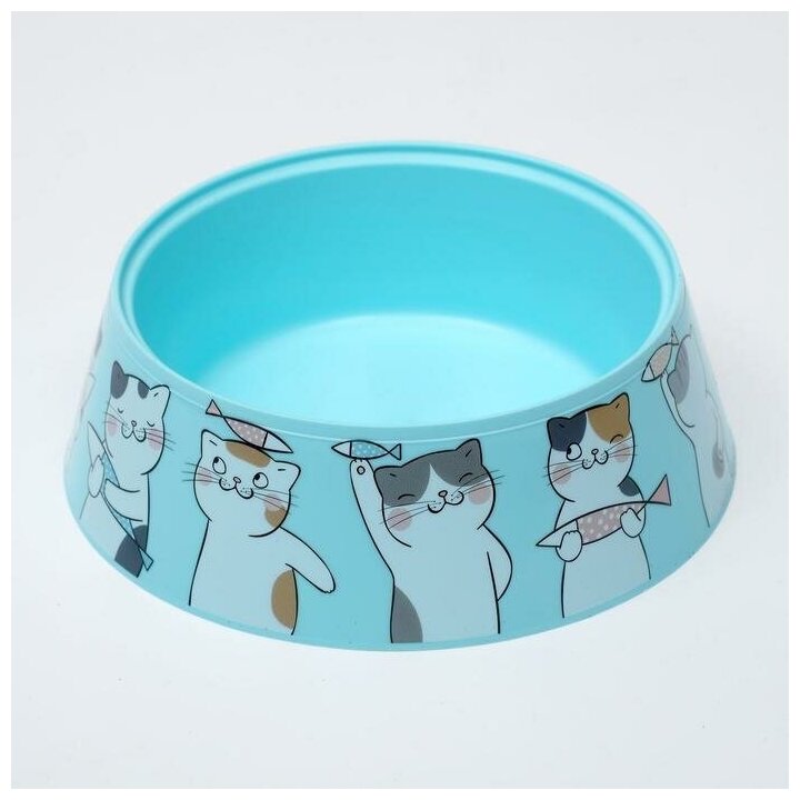 Миска "Мур-мяу" для кошек 0,3 л, 14,5 x 14,5 x 4 см, голубая - фотография № 2