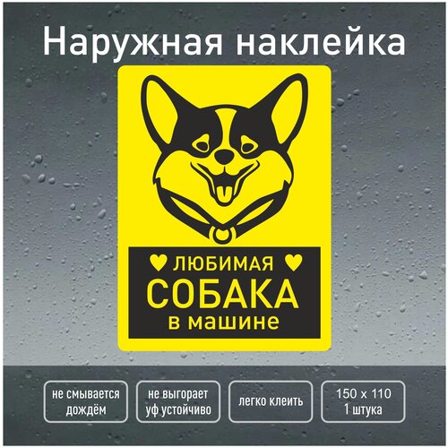 Наклейка собака в машине / наклейка корги / 15х11 см. наружная /Навигаторика