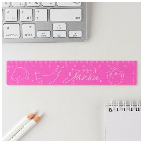 Линейка пластиковая 15 см У меня лапки розовый корпус 375₽