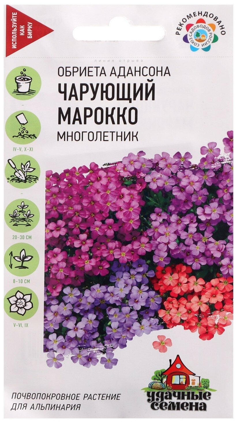 Удачные семена Обриета Чарующий Марокко 0,05 гр