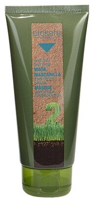 Salerm Mascarilla Especifica Grasa Маска для жирной кожи головы, 200 мл.