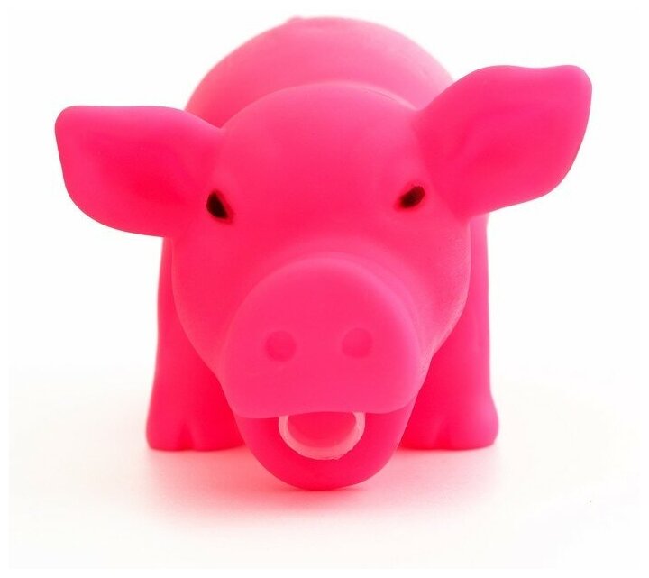 Игрушка хрюкающая"Веселая свинья" для собак, 15 см, розовая Пижон 7626832 . - фотография № 2