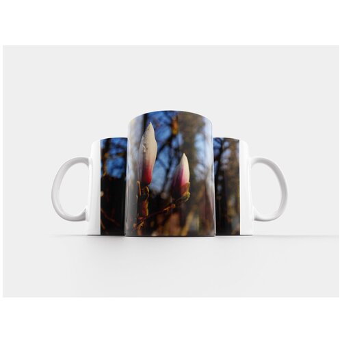 фото Кружка "магнолия, магнолия звездчатая, декоративное дерево" 320 мл lotsprints