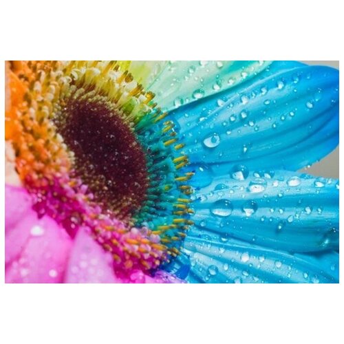 фото Алмазная мозаика яркие грани "радужная ромашка" (ds522), размер 50х34 см, 51 цвет