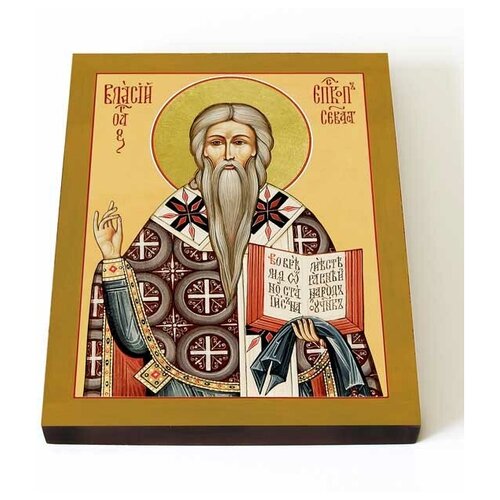 Священномученик Власий Севастийский, икона на доске 13*16,5 см